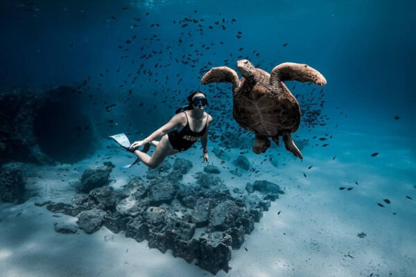 Swim in crystal-clear waters and marvel at the colorful coral reefs.