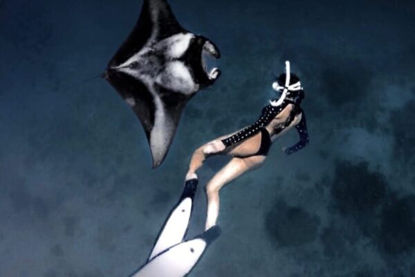 Encounter the majestic manta rays in their natural habitat.