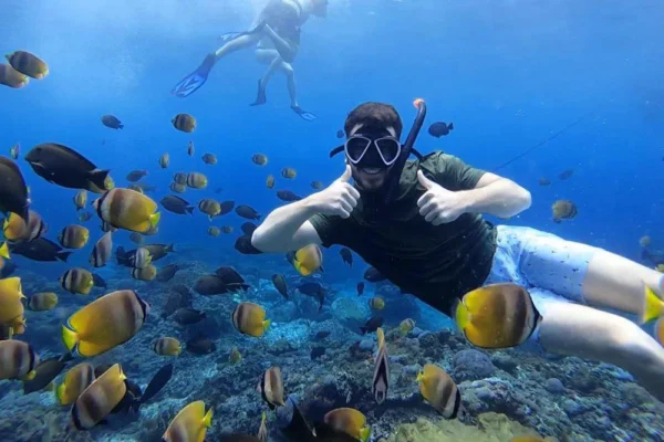 Admire vibrant marine life, from tropical fish to pristine coral ecosystems.